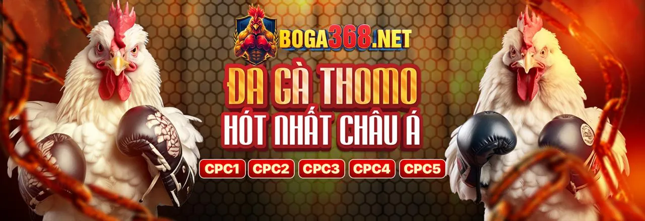 Tổng quan nền tảng đá gà trực tuyến FK22